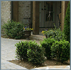 services_landscaping